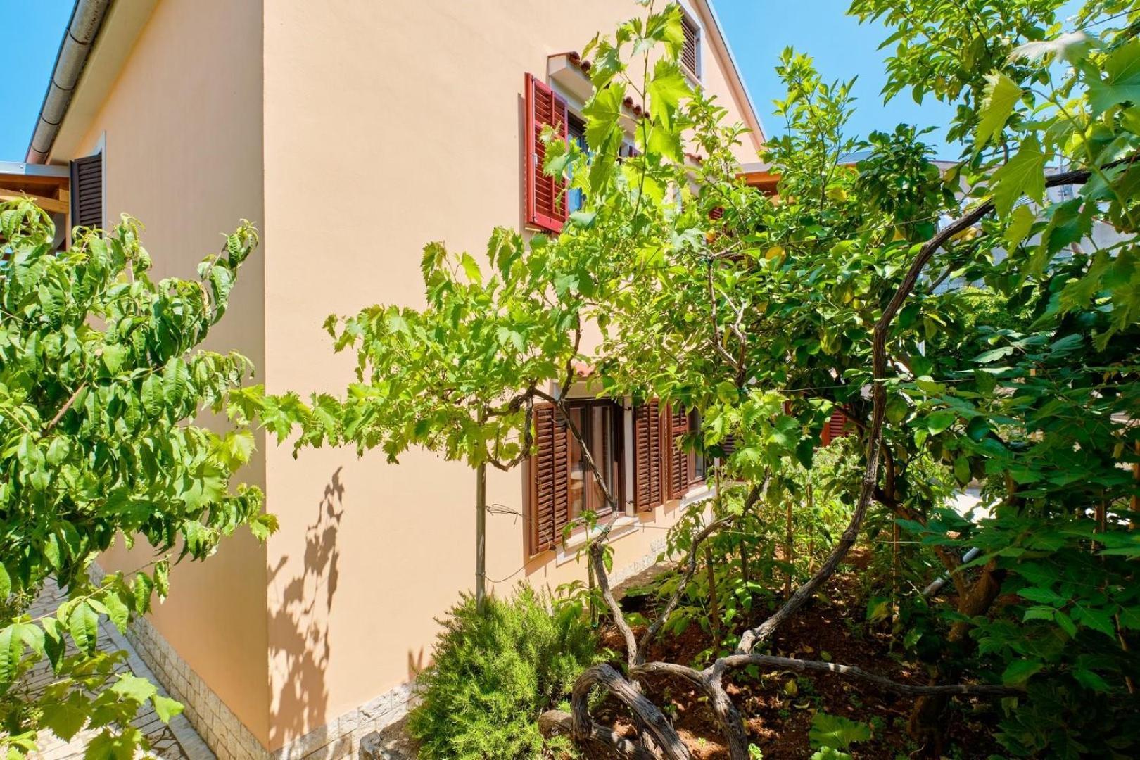 Ady Pensiune Mali Lošinj